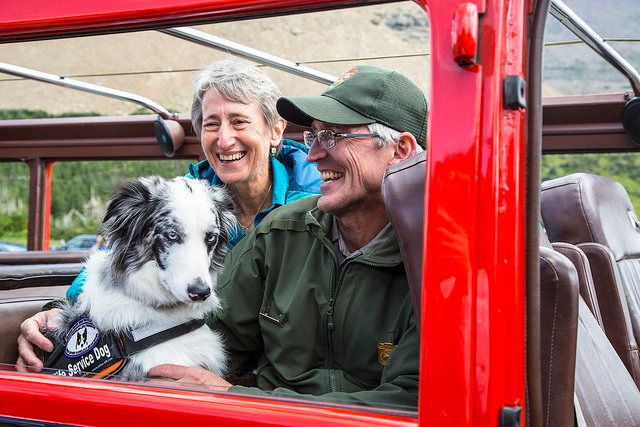 NEW Emphasis! National Park Service's Bark Ranger Program For Dogs [2022]