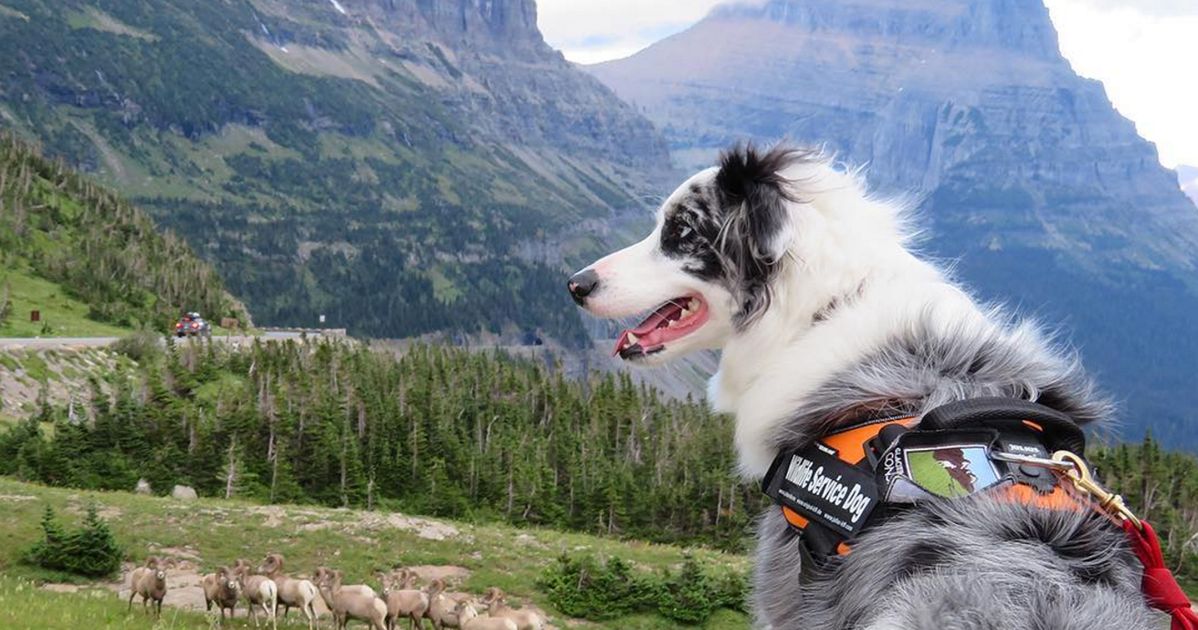 BARK Ranger - Friends of Sleeping Bear Dunes