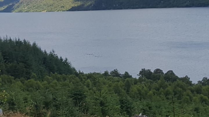 <strong>Ian Campbell took this picture as he cycled past Loch Ness in August </strong>