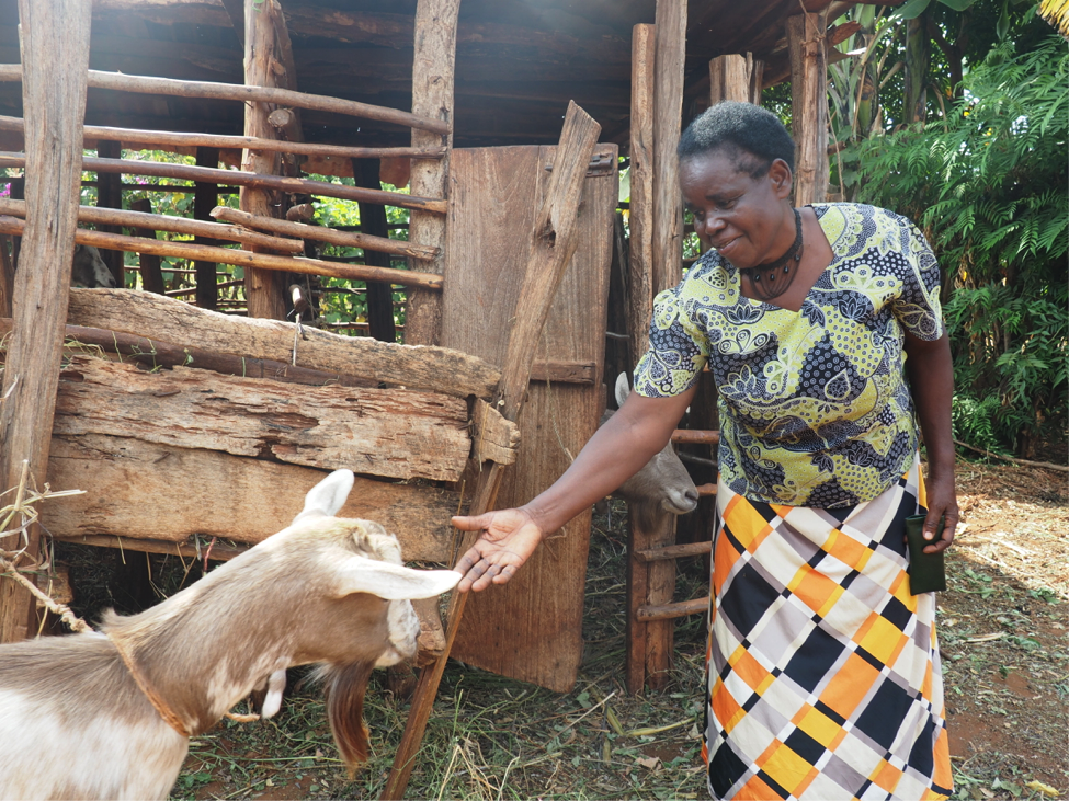 Project Nurture: Lifting African Farmers Out Of Poverty One Mango At A ...