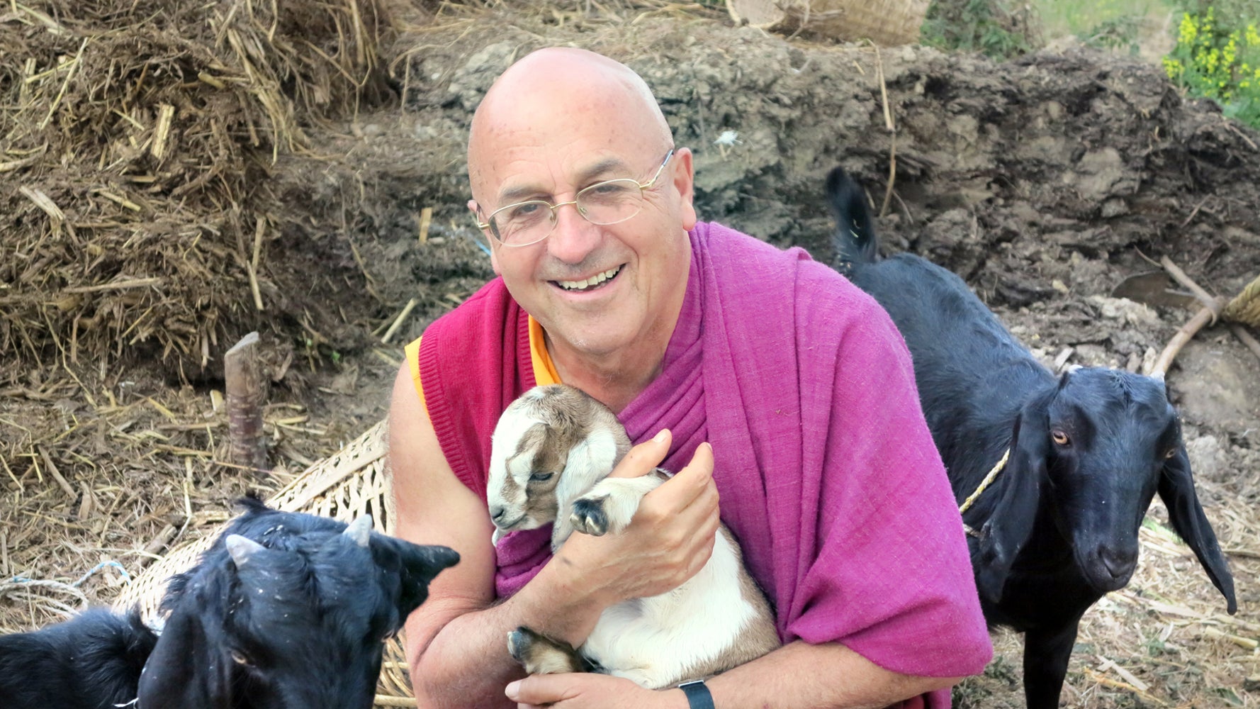 Matthieu Ricard's 'A Plea For The Animals' Is A Must Read: A Wonderful Celebration Of World Animal Day 2016 | HuffPost Entertainment Matthieu Ricard's 'A Plea For The Animals' Is A Must Read: A Wonderful Celebration Of World Animal Day 2016 | HuffPost Entertainment