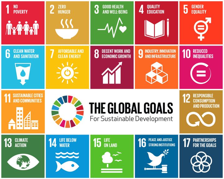 The SDGs feature 17 goals designed to work in tandem to eradicate poverty and inequality