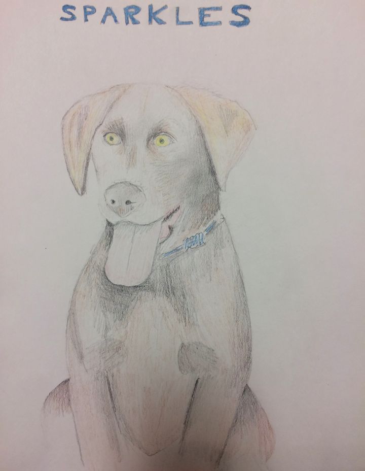Meet Sparkles the dog, a commissioned drawing done at the request of a patient.
