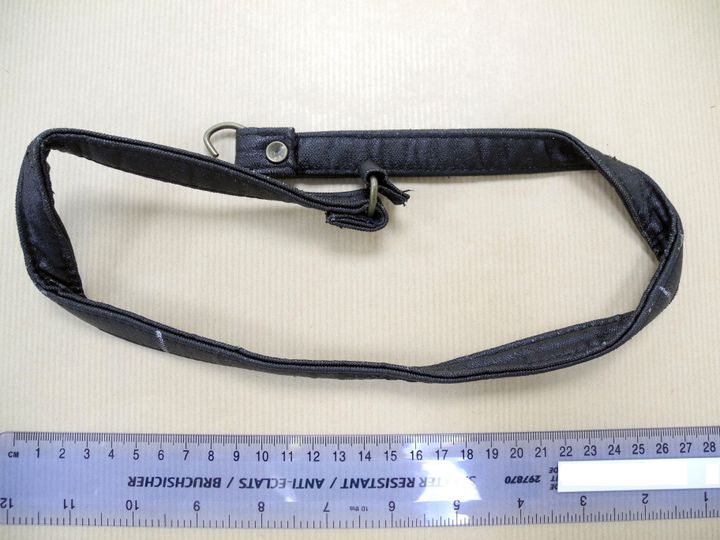 <strong>The DNA was found on the bag strap pictured above</strong>