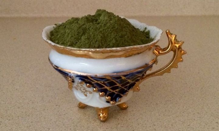 A teacup of kratom powder, made from the leaves of Mitragyna speciosa, a Southeast Asian tree related to coffee. The DEA plans to make kratom a Schedule I drug as early as the end of September.