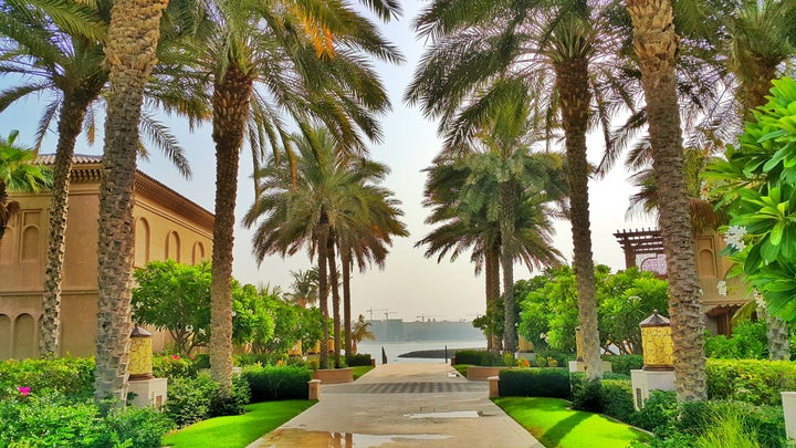 Palm trees and beautiful manicured gardens