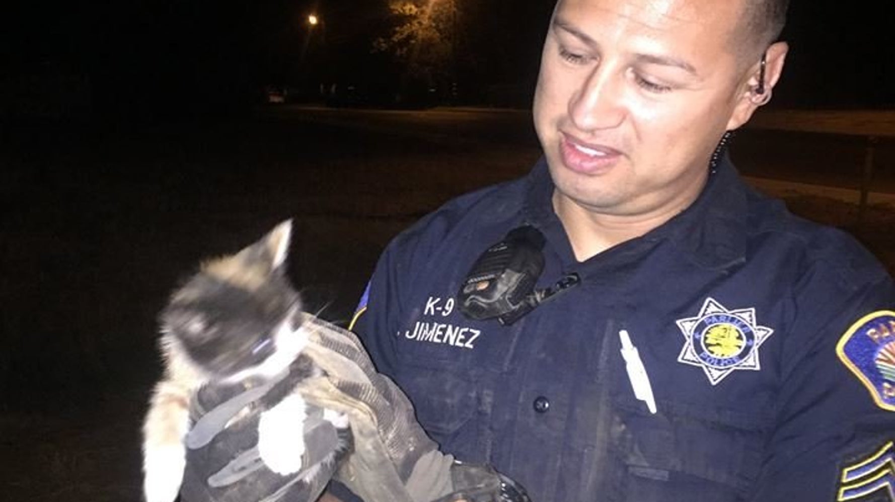 Hero Burrito Helps Police Officers Save Trapped Kitten Huffpost