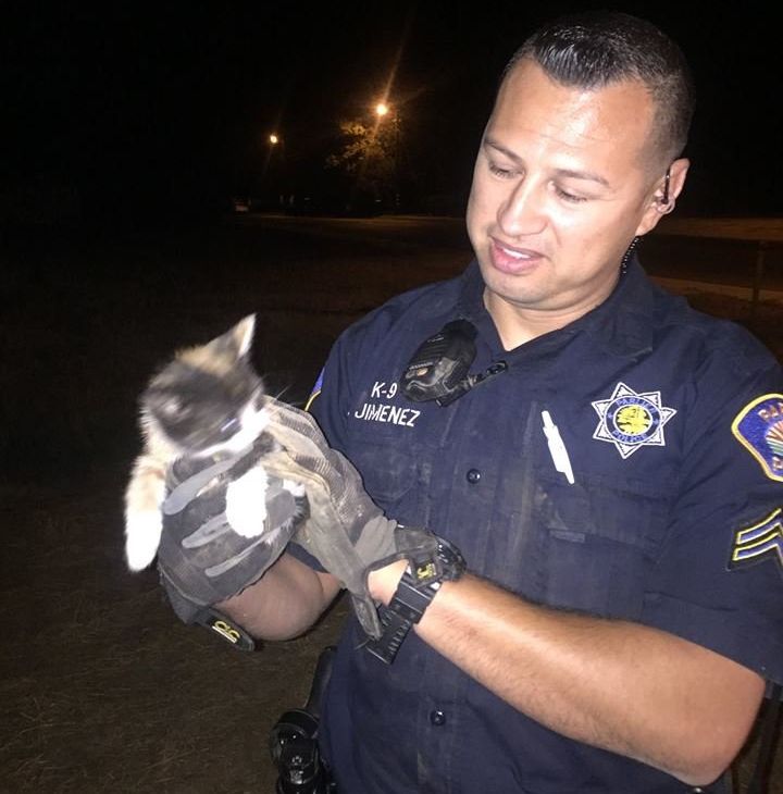 Officer Jimenez with the rescued kitten.