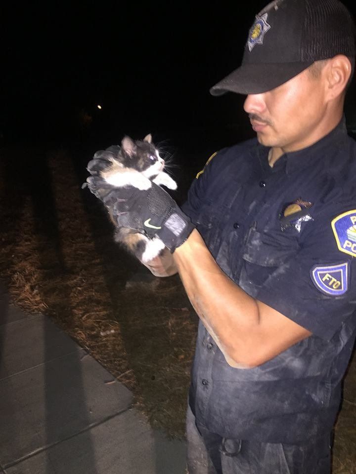 Officer Corona with the kitten.