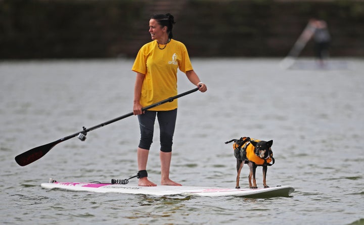 A paddleboarder and her dog on the lake at New Brighton