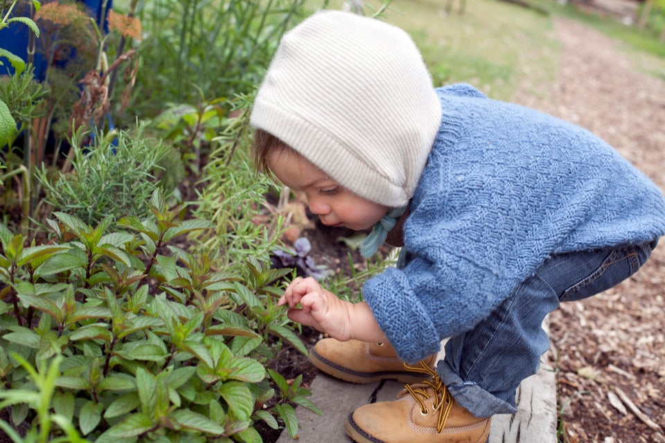 Smell: Herb garden