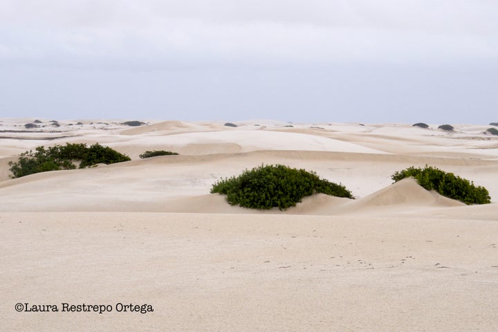 Lençóis Maranhenses National Park, Brazil