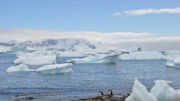 Antarctica