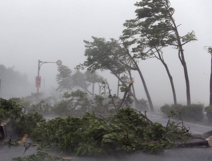 Trees are broken by strong wind on a highway from Pingtung to Kenting in typhoon-hit Taiwan, southeast China