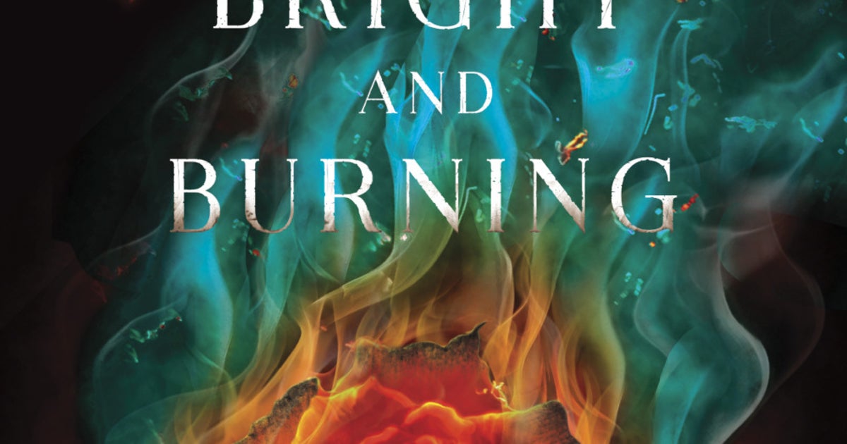'A Shadow Bright and Burning' is YA fantasy that will hook the reader
