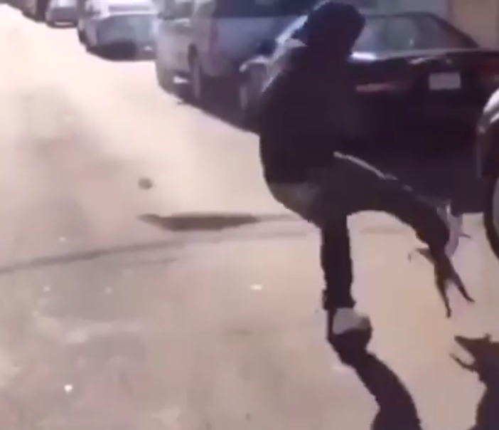 <strong>A second video showing a kitten being kicked</strong>