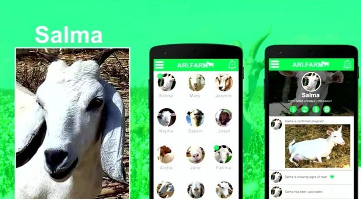 "Your Facebook friend that is actually a goat in Somalia" - Ari.farm. We need this app for our cows...