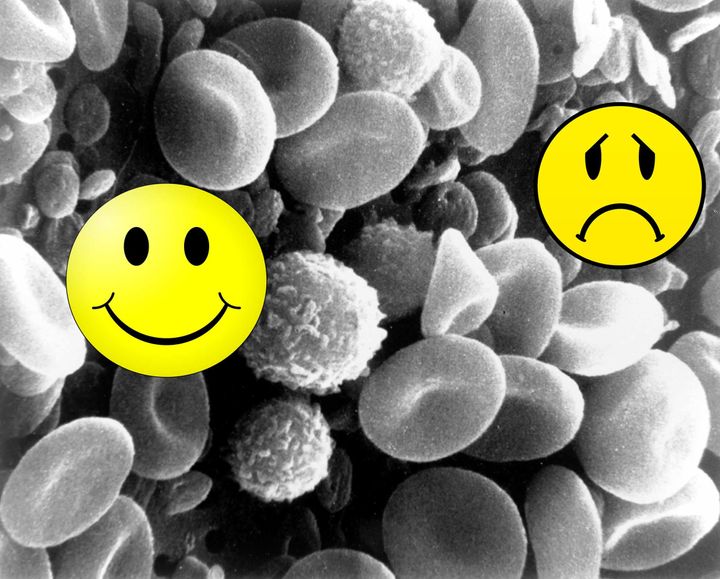 Happy White Blood Cells