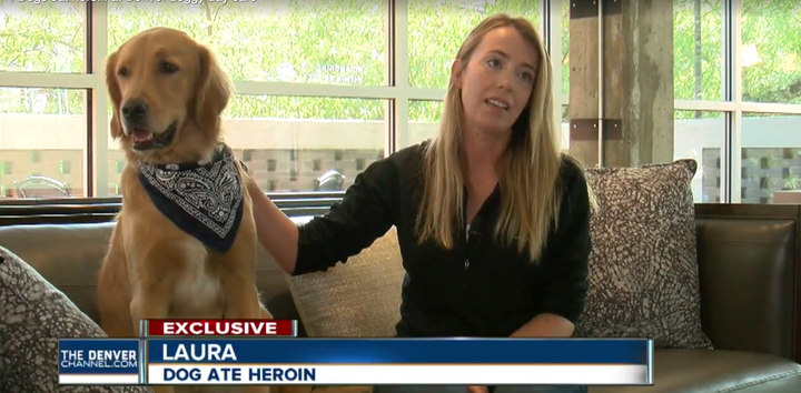 Laura sits with her dog Charlie, who is recovering after ingesting a bag of heroin.