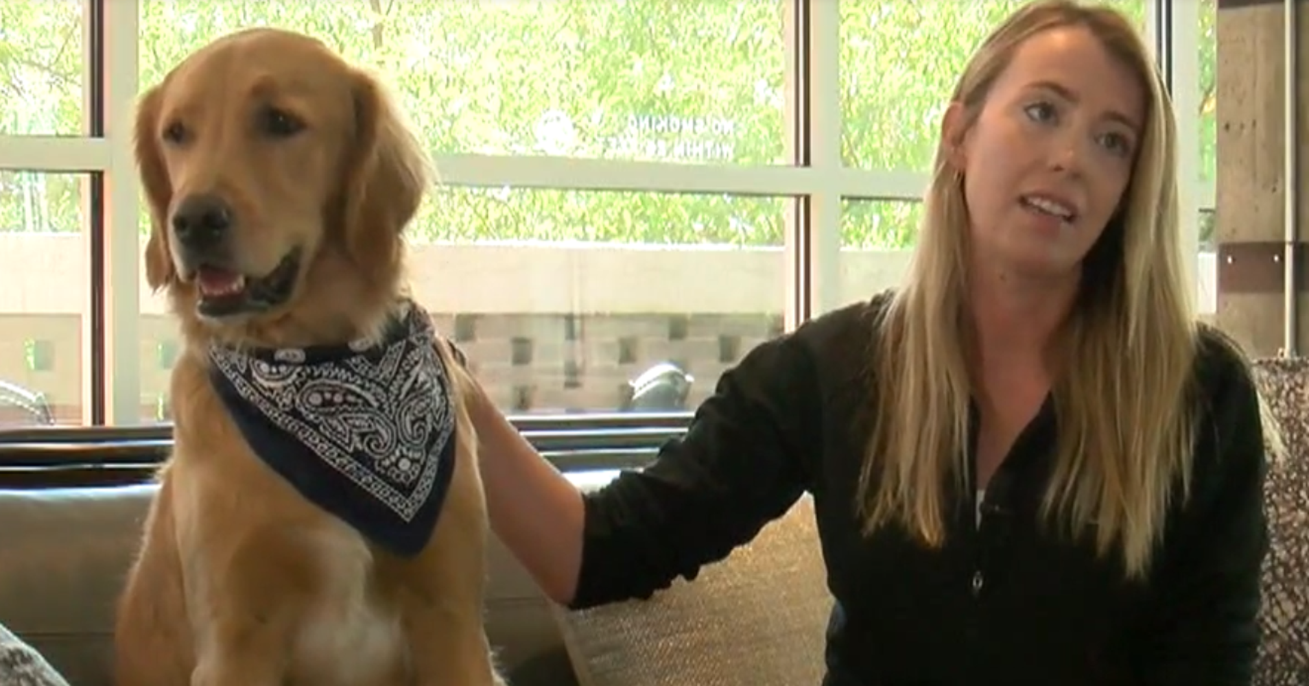 Dogs Get High After Alleged Drug Dealer Throws Heroin Over Fence HuffPost