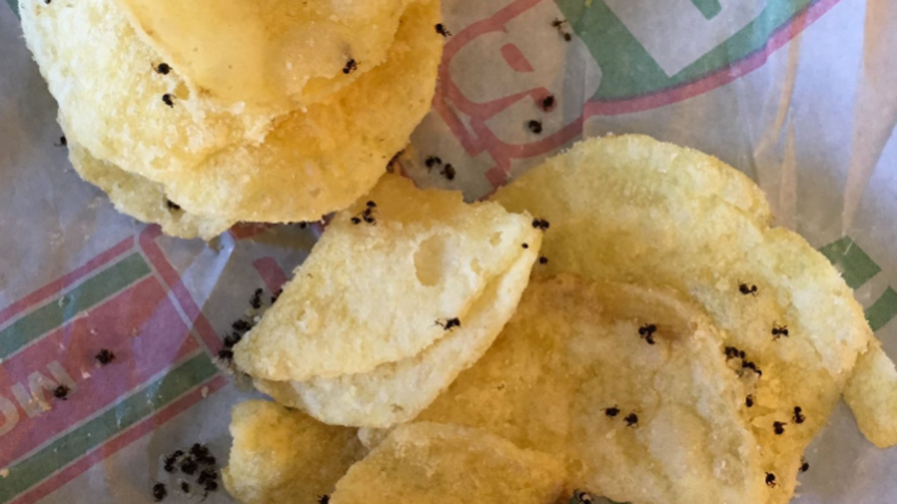 High School Student Accidentally Eats Dead Ants On Potato Chips, Almost
