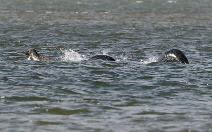 Loch Ness monster search party uses new tools to look for an old