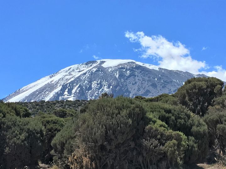 Mount Kilimanjaro is Africa's highest peak at 19,341 feet (5,895 meters)