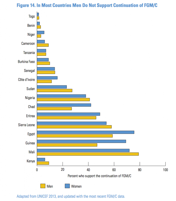 In Egypt, Guinea, Ivory Coast, Chad, Eritrea and Niger, fewer men than women report support for the continuation of FGM.