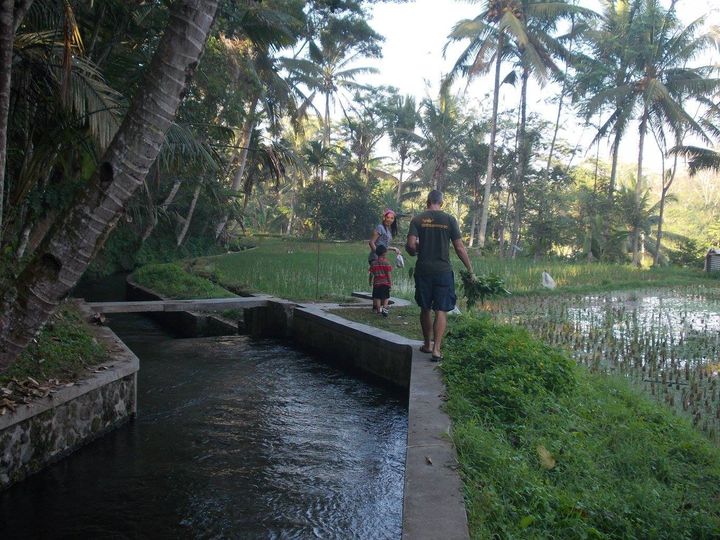 Me walking by a canal in Bali. When you're a connected blogger you can wander through the enchanting rice fields around Ubud.