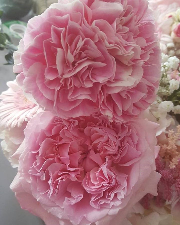 photo courtesy of Kelly L'Esperance of Miss Fleur Floral Design