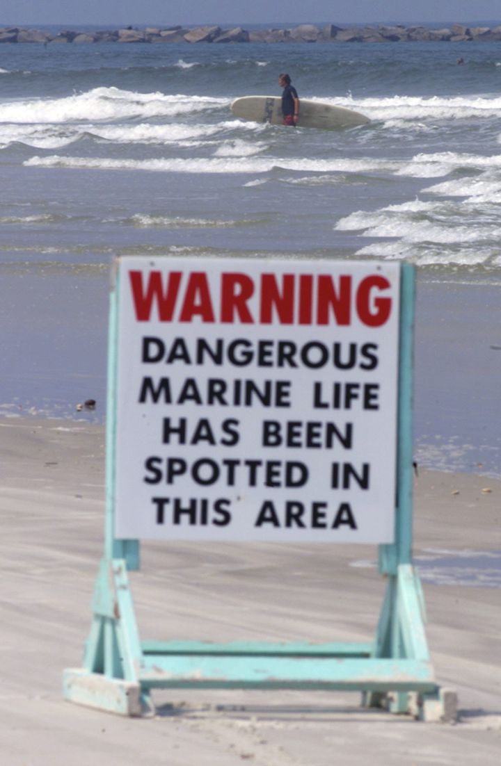 A sign warned of dangerous marine life near New Smyrna Beach's Ponce Inlet on Aug. 28, 2001, after 10 shark attacks had occurred in the area within the previous 10 days.