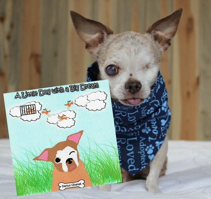 Harley with the CD, "A Little Dog with a Big Dream"