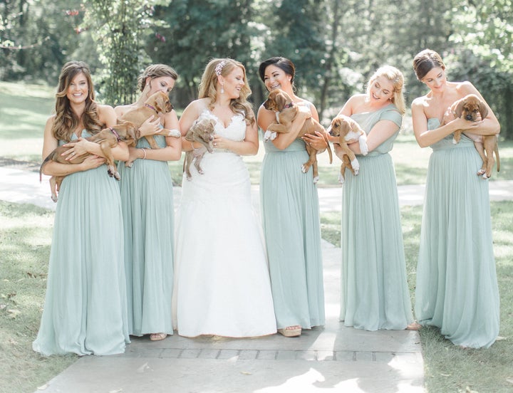 The bride has been involved with the Pitties For Peace organization since it was founded in 2011. 