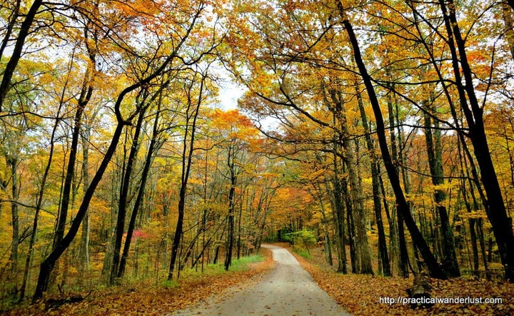 <p>Louisville, Kentucky in the fall is a must-visit destination!</p>