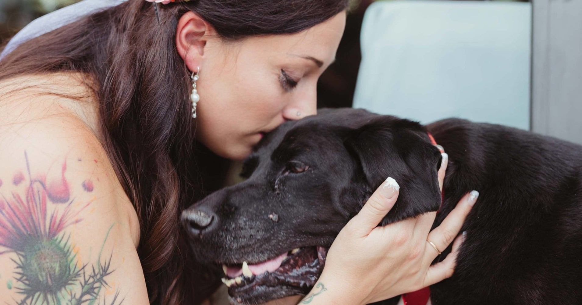 Bride's 15YearOld Dog Made It To Her Wedding Just Before He Died HuffPost