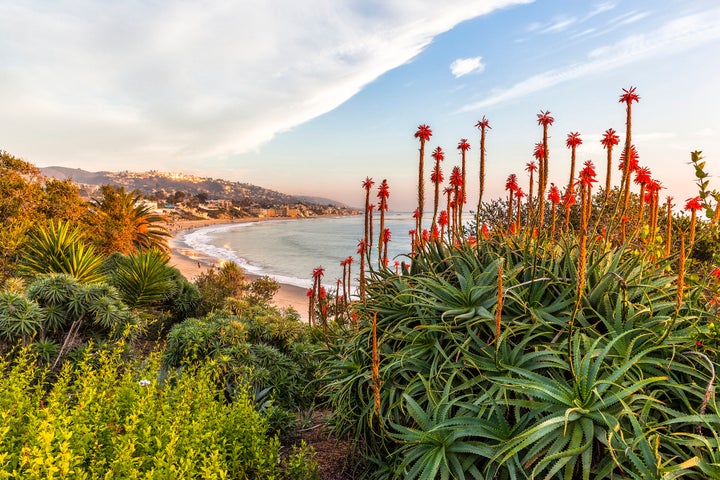 Laguna Beach