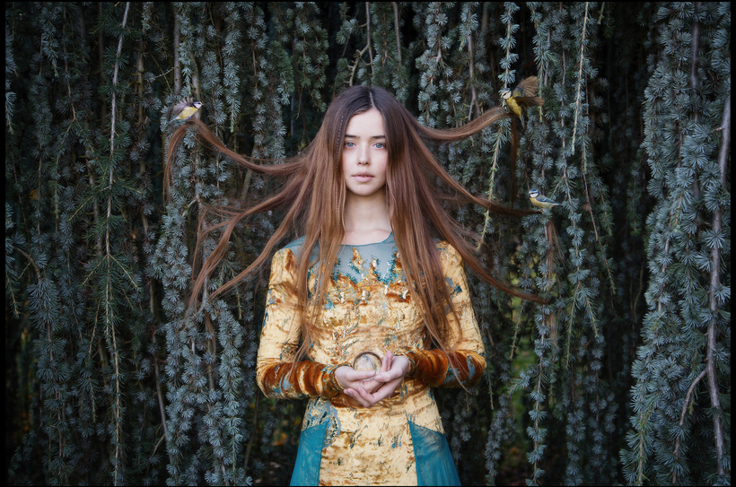 Entwined With The Birds Of Hope