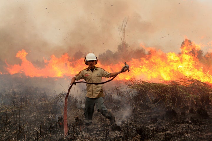 An Indonesian firefighter combats a forest fire in South Sumatra in September 2015. The haze returned to much of Southeast Asia this year.