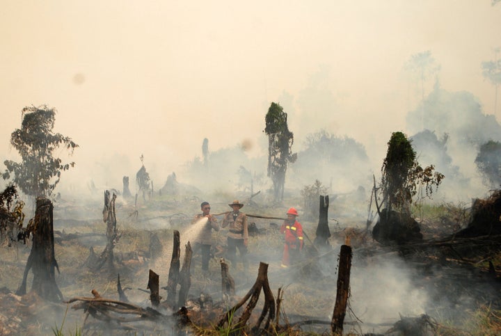 Authorities work to extinguish a forest fire in Riau province, Sumatra, Indonesia, in August. Worsening haze conditions in parts of Indonesia prompted schools to close this week.