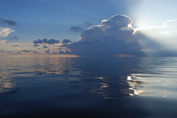 Reflections on a Calm Ocean