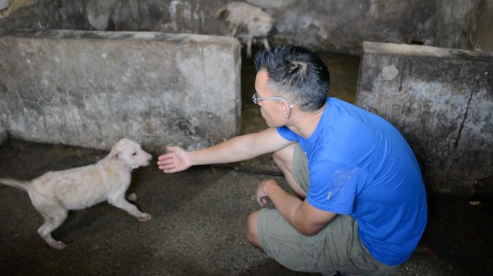 Activist Wayne Hsiung at dog meat farm.