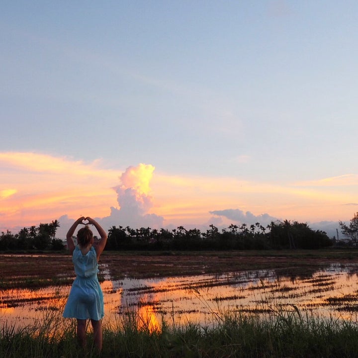 Rice paddy sunset, Hoi An, Vietnam