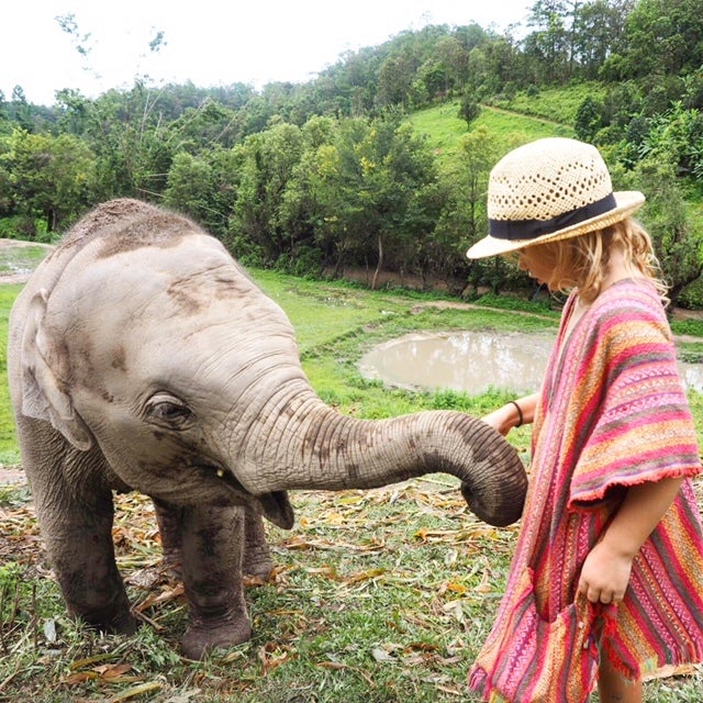 Elephant Jungle Sanctuary, Chiang Mai, Thailand