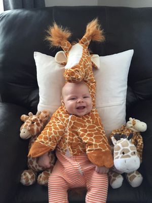 giraffe  Cute baby costumes, Cute baby halloween costumes, Cute kids  halloween costumes