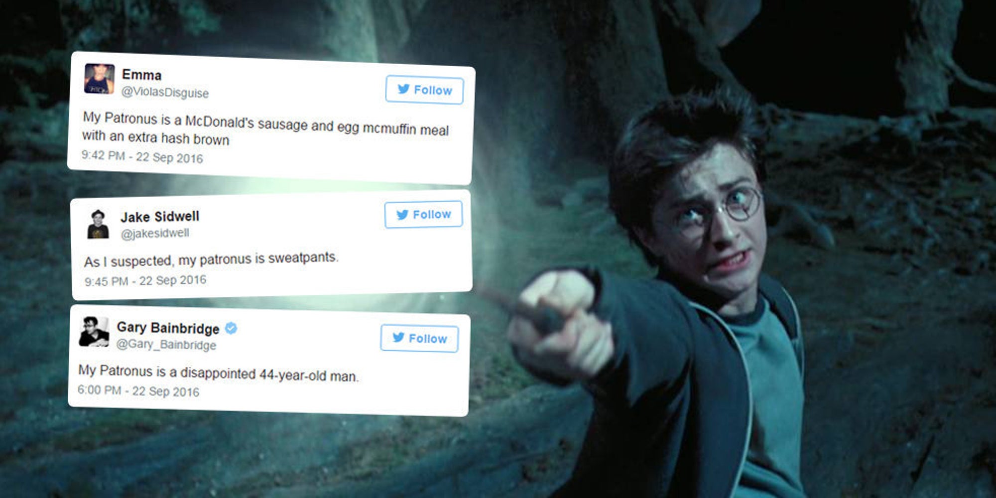 Harry Potter Patronus Quiz Results That Are A Bit Weird