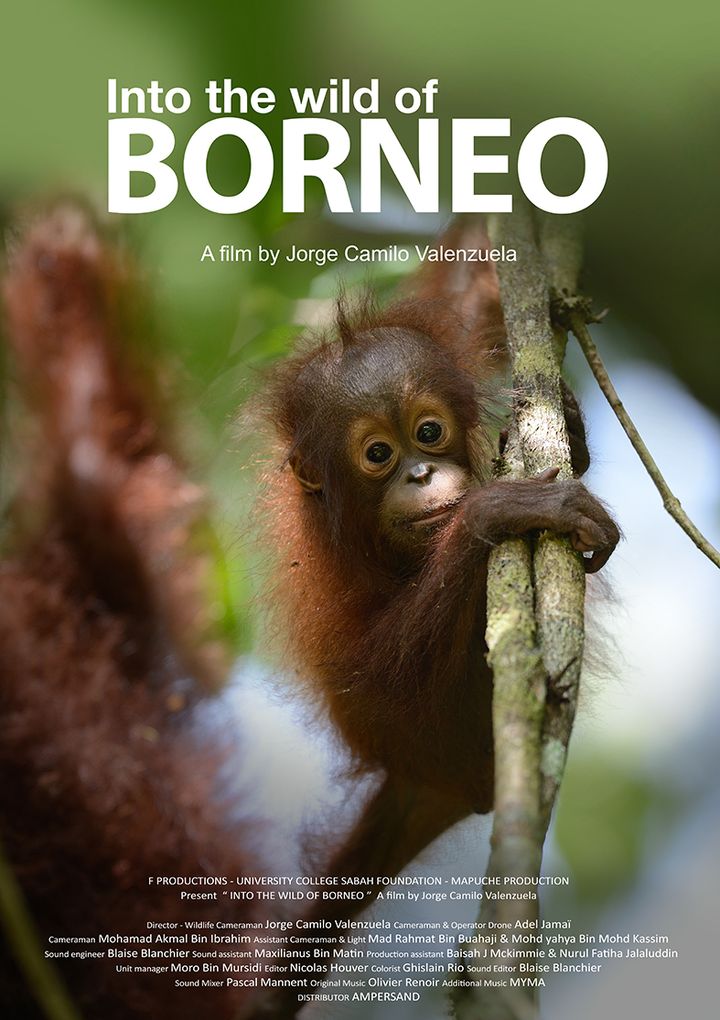 "Into the Wild of Borneo" Official Poster