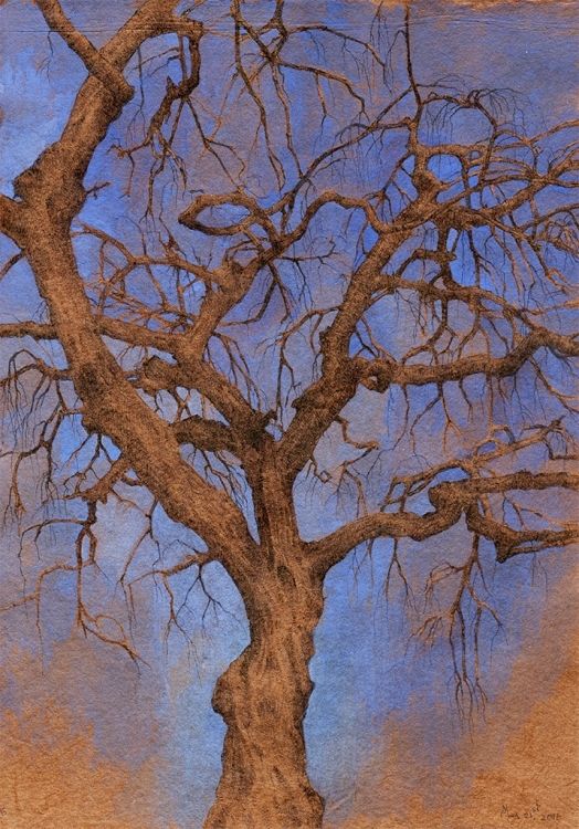 Tree #96, 5.5×8″, ballpoint pen, watercolor and gouache on paper, May 21st, 2016