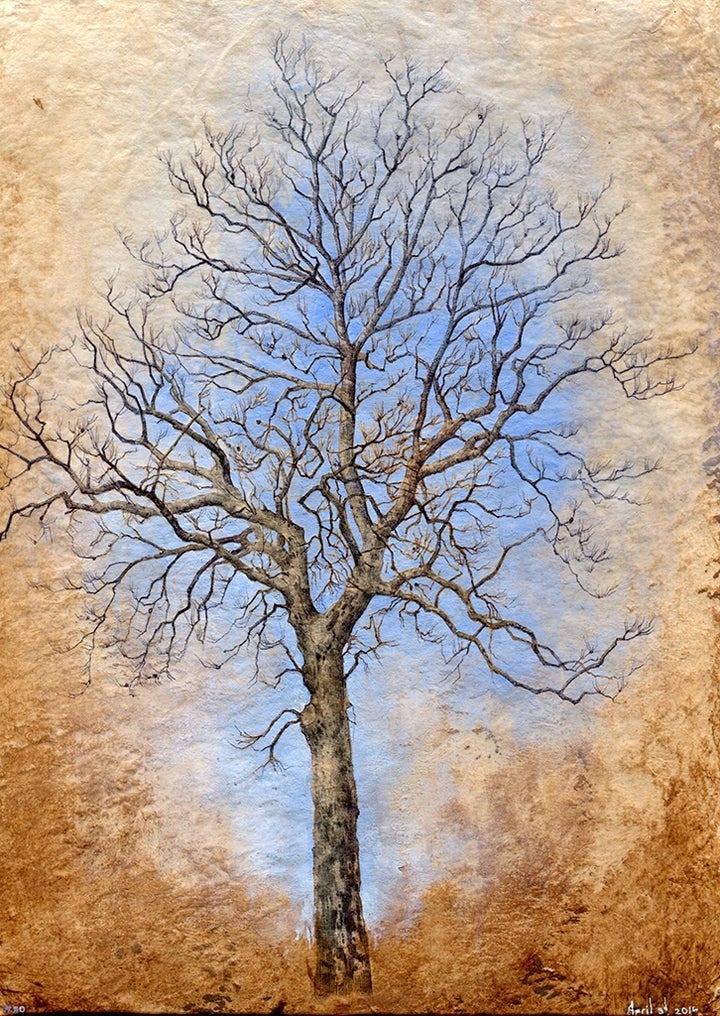 Tree #80, 8.5×11.5″, oil ond ballpoint pen on paper, April 3d, 2016