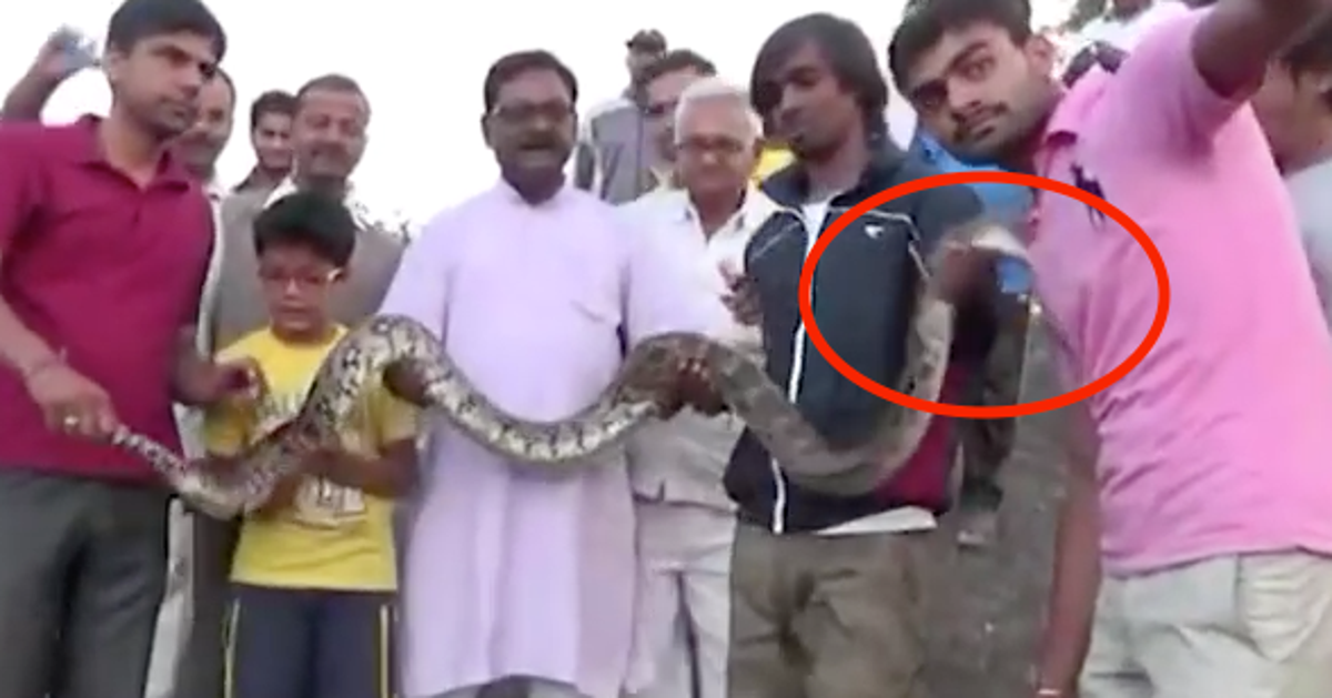 Python Snake With Man Man Snaps Selfie With A Python. The Snake Snapped Back, Unsurprisingly ...