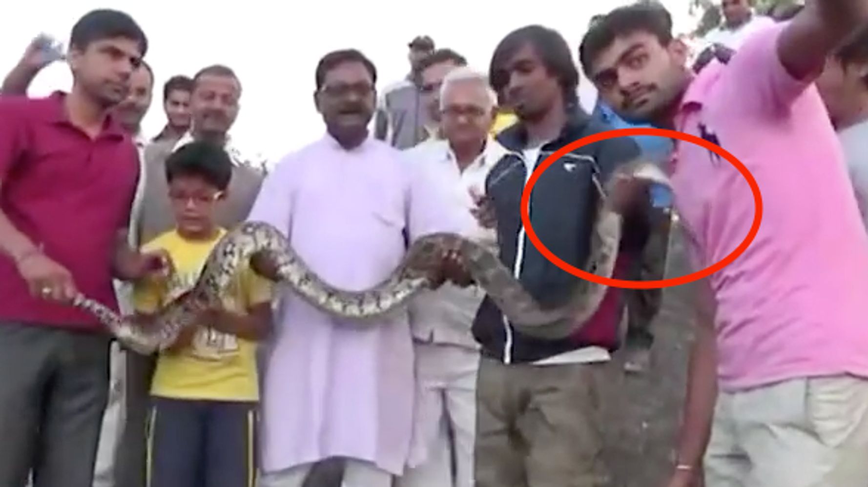 Man Snaps Selfie With A Python. The Snake Snapped Back, Unsurprisingly ...